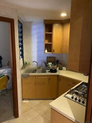 Tanglin View (D3), Condominium #473863791